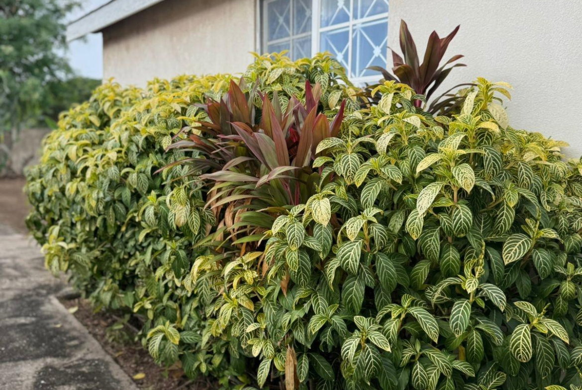 Twelfth image of Lot 657-21 Waves Avenue, New Harbour in New Harbour Village, St. Catherine, Jamaica - property is For Sale