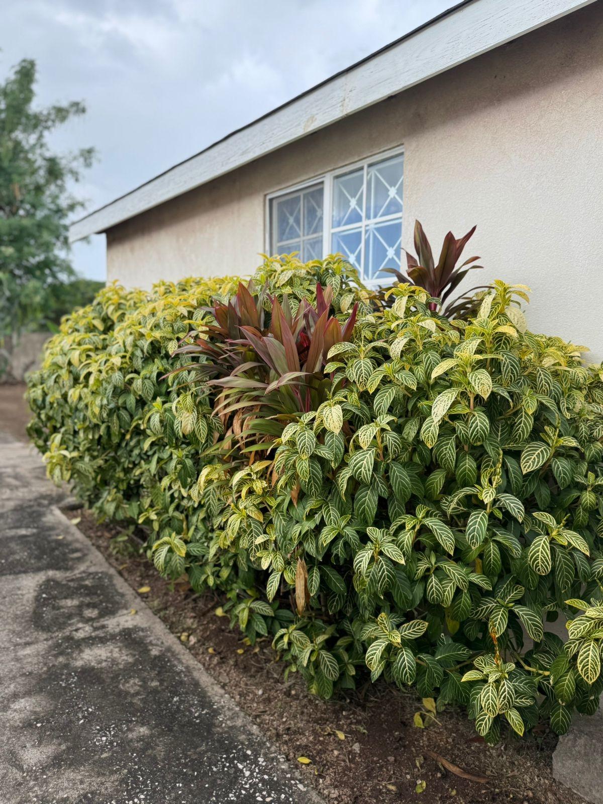 Twelfth image of Lot 657-21 Waves Avenue, New Harbour in New Harbour Village, St. Catherine, Jamaica - property is For Sale