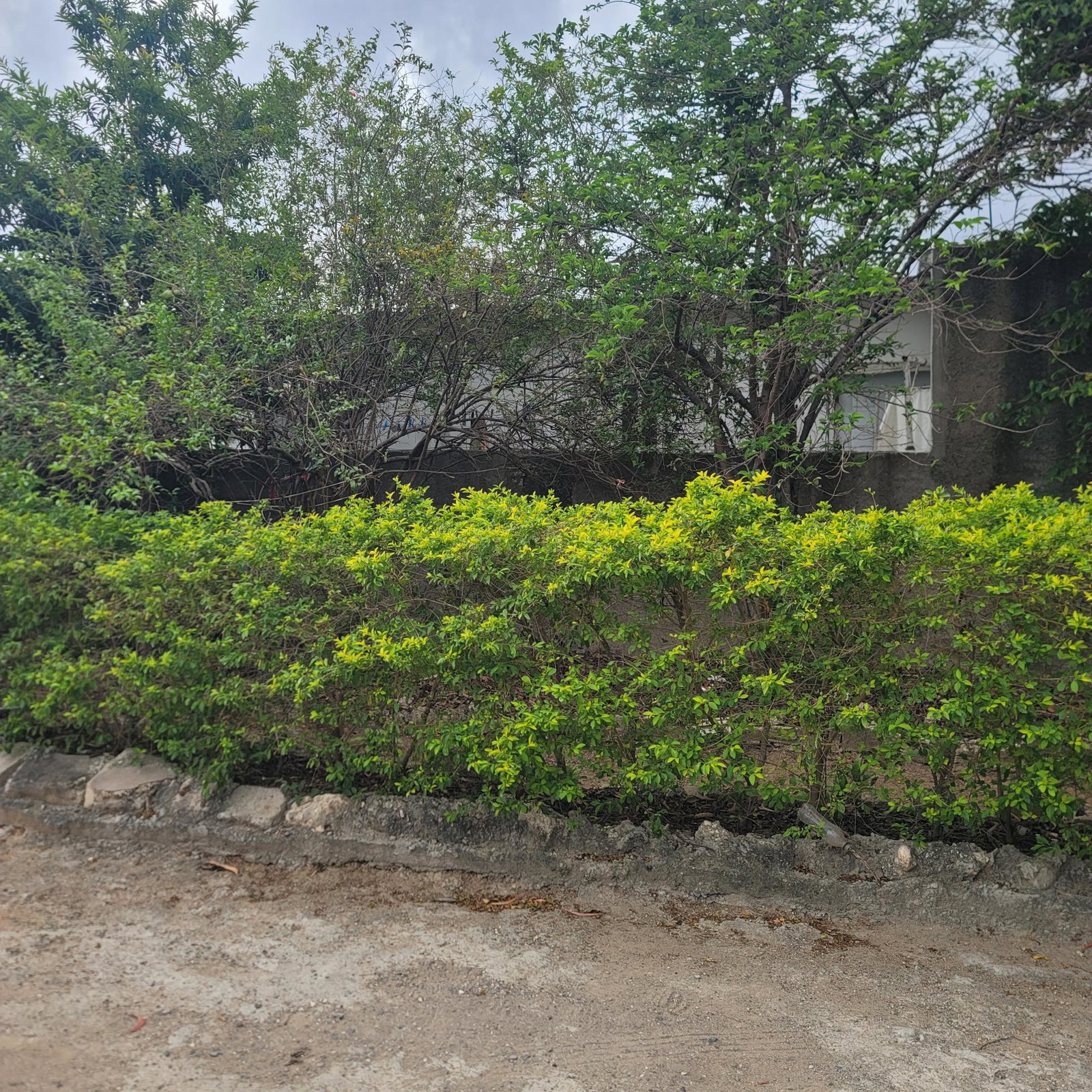 Fourth image of 337 East Kensington , South e in Greater Portmore, St. Catherine, Jamaica - property is For Sale