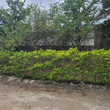 Fourth image of 337 East Kensington , South e in Greater Portmore, St. Catherine, Jamaica - property is For Sale