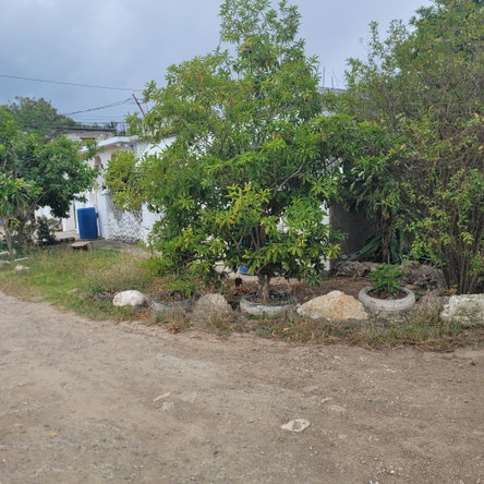 Fifth image of 337 East Kensington , South e in Greater Portmore, St. Catherine, Jamaica - property is For Sale