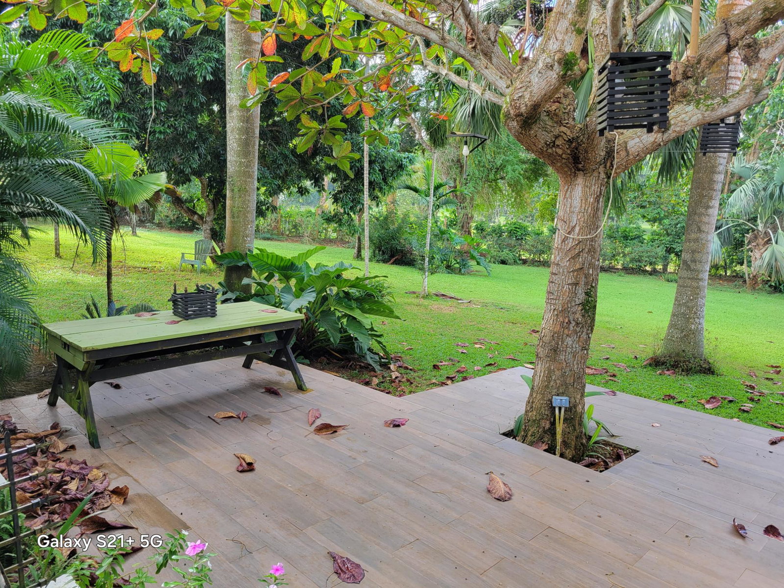 Fourteenth image of Lot-13 Truffle Hill Road in Bonham Park, St. Ann, Jamaica - property is For Sale
