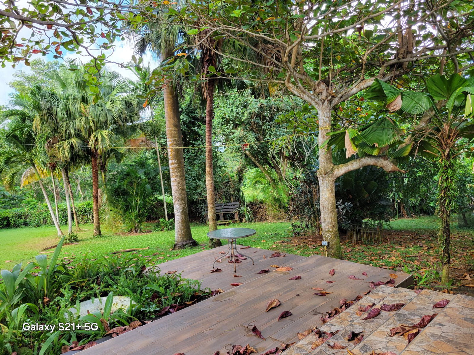 Fifteenth image of Lot-13 Truffle Hill Road in Bonham Park, St. Ann, Jamaica - property is For Sale
