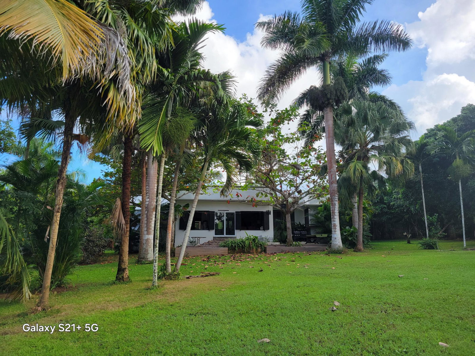 Nineteenth image of Lot-13 Truffle Hill Road in Bonham Park, St. Ann, Jamaica - property is For Sale