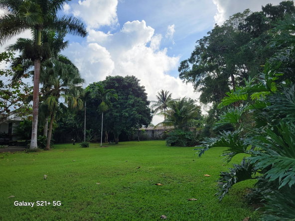 Twentieth image of Lot-13 Truffle Hill Road in Bonham Park, St. Ann, Jamaica - property is For Sale