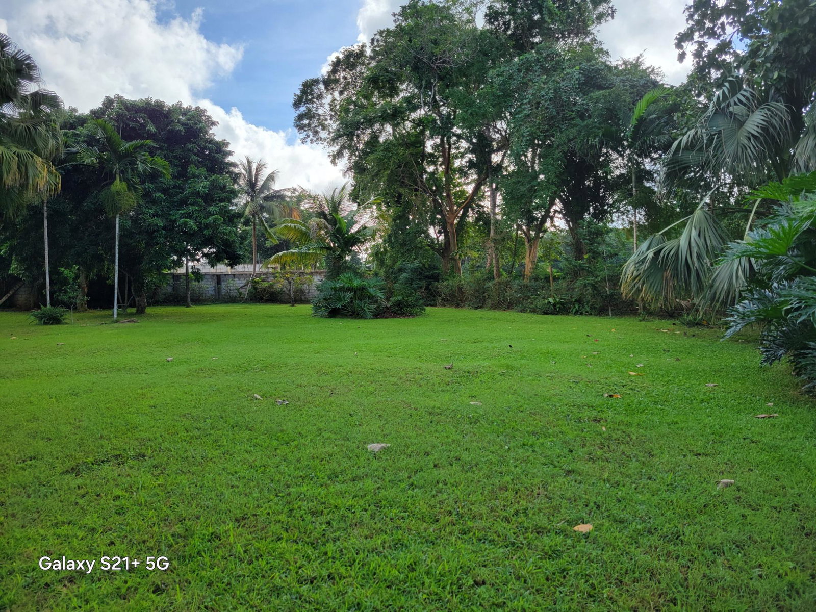 Twenty-First image of Lot-13 Truffle Hill Road in Bonham Park, St. Ann, Jamaica - property is For Sale