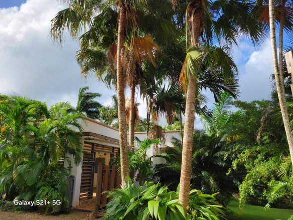 First image of Lot-13 Truffle Hill Road in Bonham Park, St. Ann, Jamaica - property is For Sale