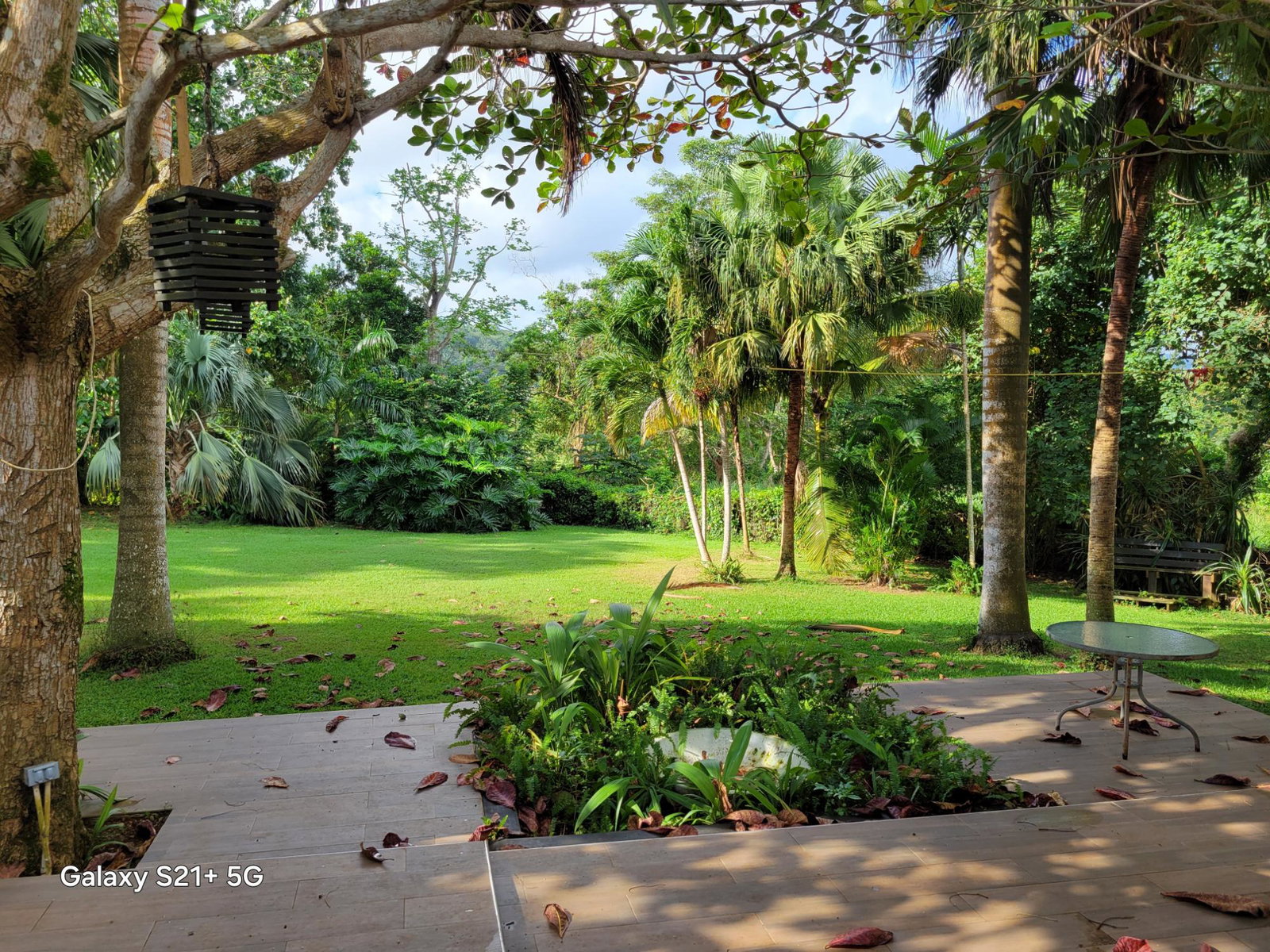 Eighth image of Lot-13 Truffle Hill Road in Bonham Park, St. Ann, Jamaica - property is For Sale