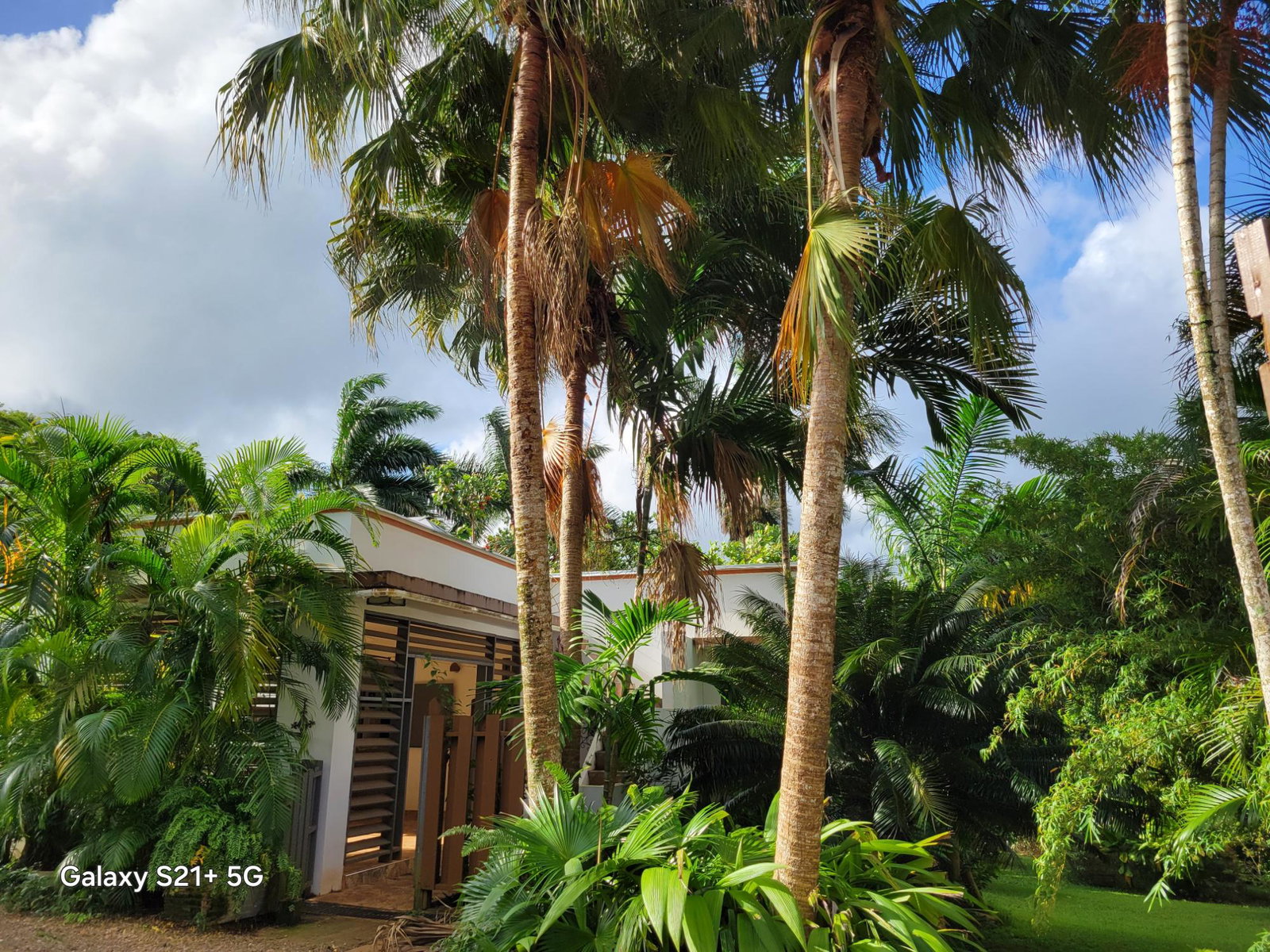 First image of Lot-13 Truffle Hill Road in Bonham Park, St. Ann, Jamaica - property is For Sale