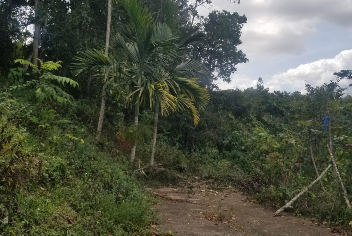 Seventh image of 5a Perth Road in Mandeville, Manchester, Jamaica - property is For Sale