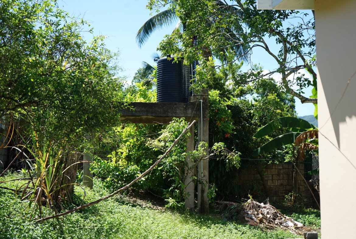 Thirteenth image of 35 Jerusalem in Santa Cruz, St. Elizabeth, Jamaica - property is For Sale