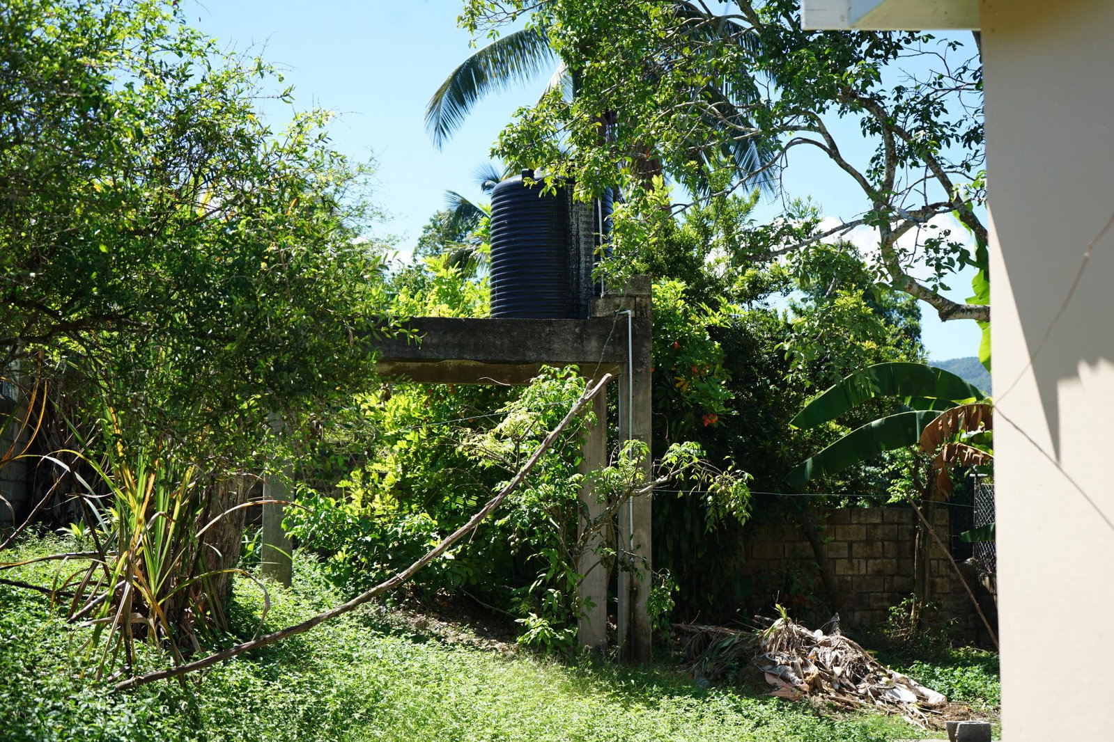 Thirteenth image of 35 Jerusalem in Santa Cruz, St. Elizabeth, Jamaica - property is For Sale