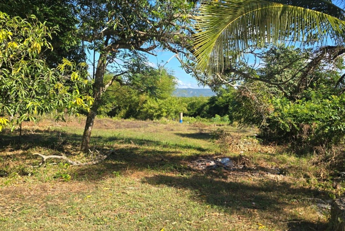 Thirteenth image of Lot 13a Santa Cruz Park in Santa Cruz, St. Elizabeth, Jamaica - property is For Sale
