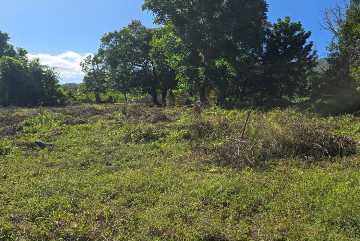 Fourteenth image of Lot 13a Santa Cruz Park in Santa Cruz, St. Elizabeth, Jamaica - property is For Sale