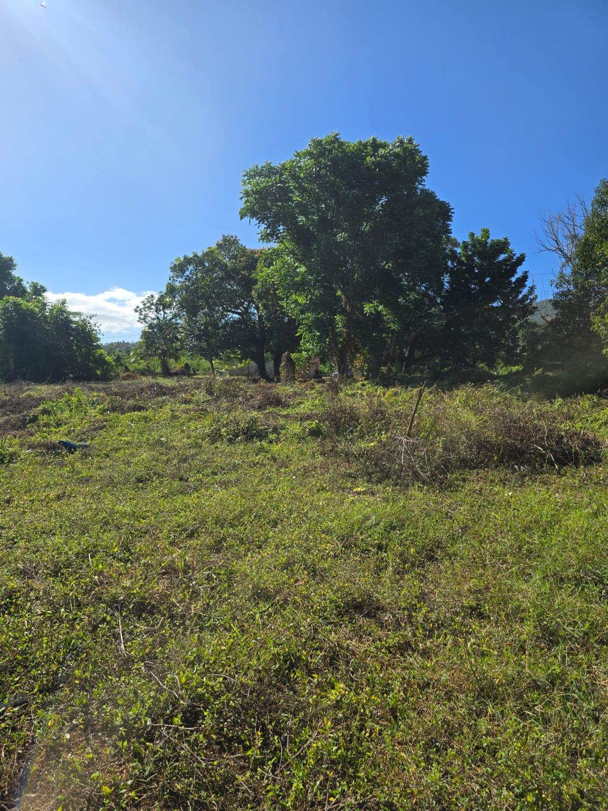 Charming-2-Bedroom-House-for-Sale-in-Santa-Cruz-Park-Jamaica Fourteenth image of Lot 13a Santa Cruz Park in Santa Cruz, St. Elizabeth, Jamaica - property is For Sale