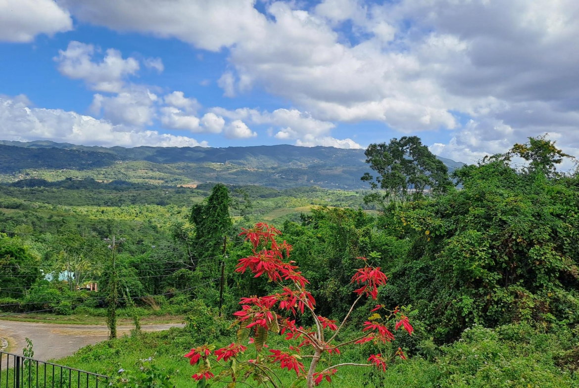 Twenty-Sixth image of 13c Violet Avenue in Mandeville, Manchester, Jamaica - property is For Sale