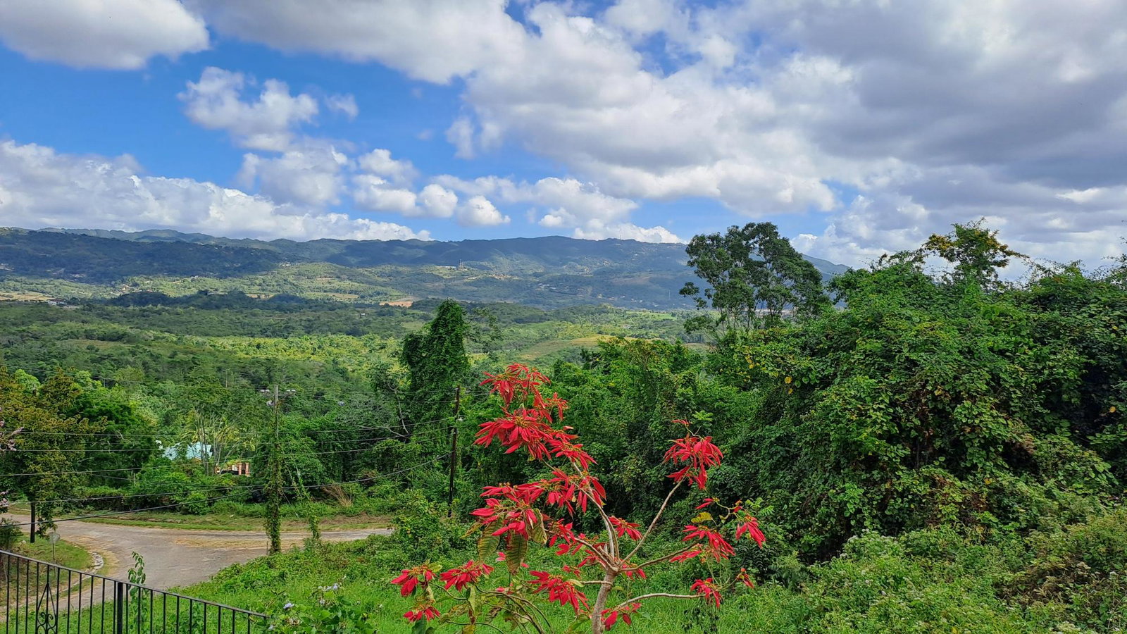 Twenty-Sixth image of 13c Violet Avenue in Mandeville, Manchester, Jamaica - property is For Sale