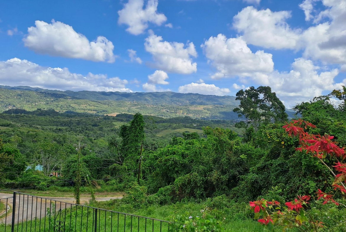 Twenty-Seventh image of 13c Violet Avenue in Mandeville, Manchester, Jamaica - property is For Sale