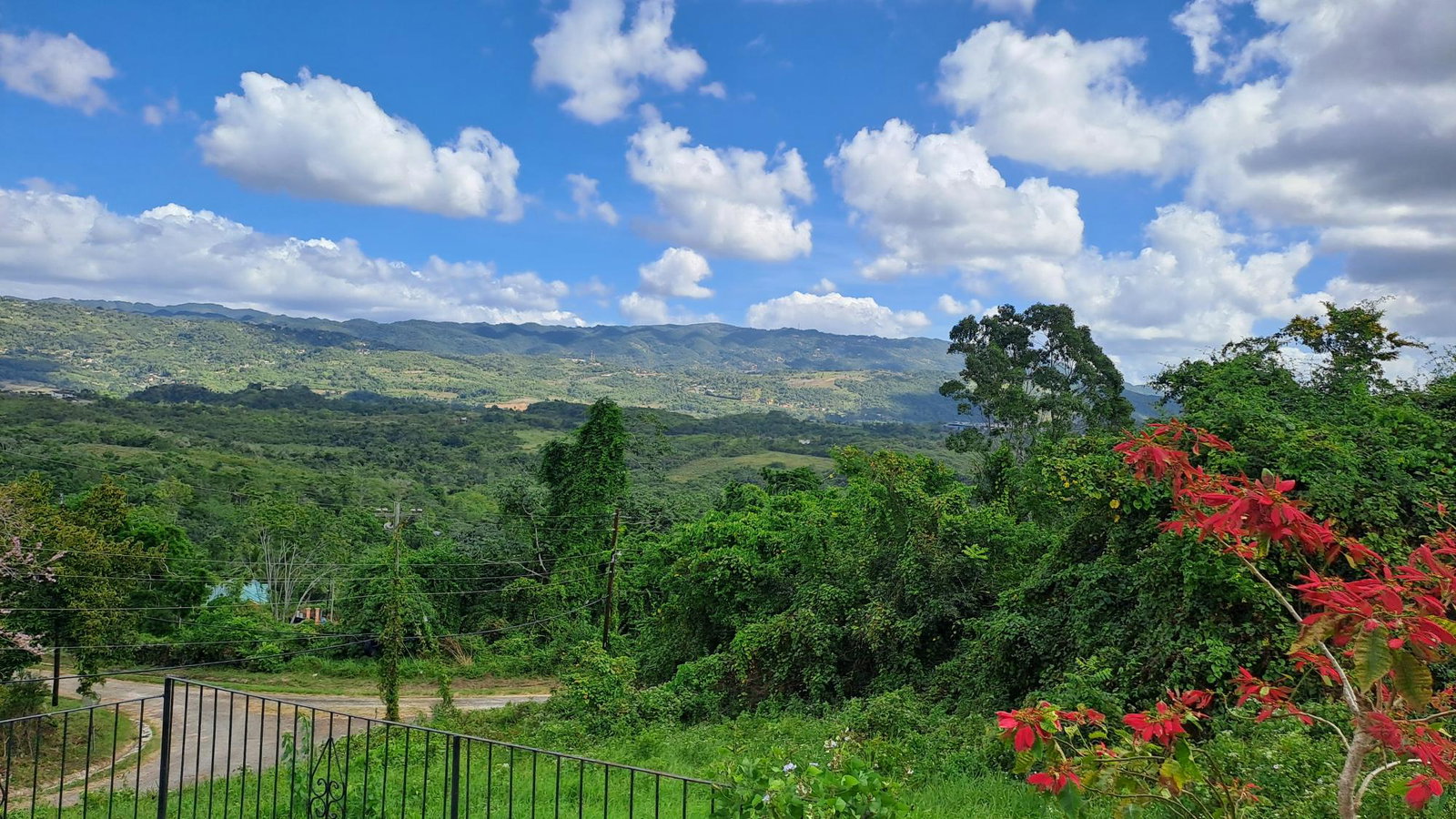 Twenty-Seventh image of 13c Violet Avenue in Mandeville, Manchester, Jamaica - property is For Sale