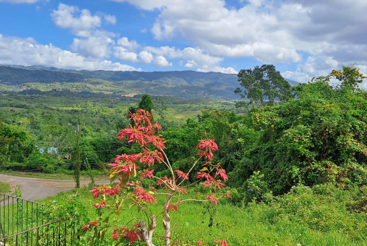Fourth image of 13c Violet Avenue in Mandeville, Manchester, Jamaica - property is For Sale