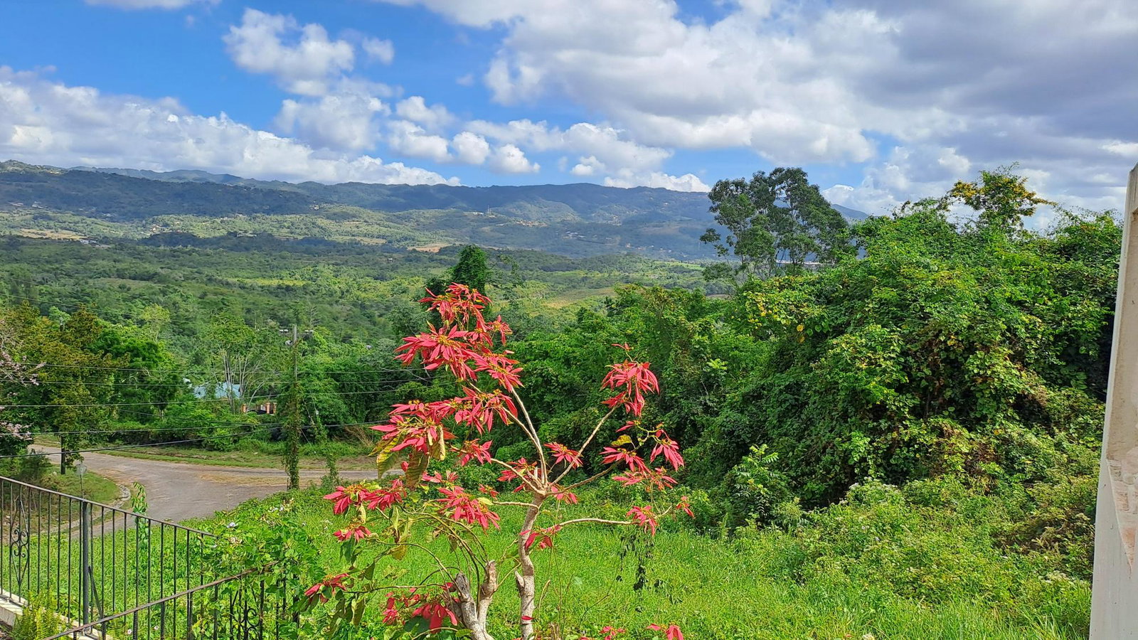 Fourth image of 13c Violet Avenue in Mandeville, Manchester, Jamaica - property is For Sale