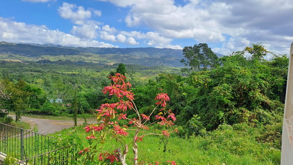Fourth image of 13c Violet Avenue in Mandeville, Manchester, Jamaica - property is For Sale