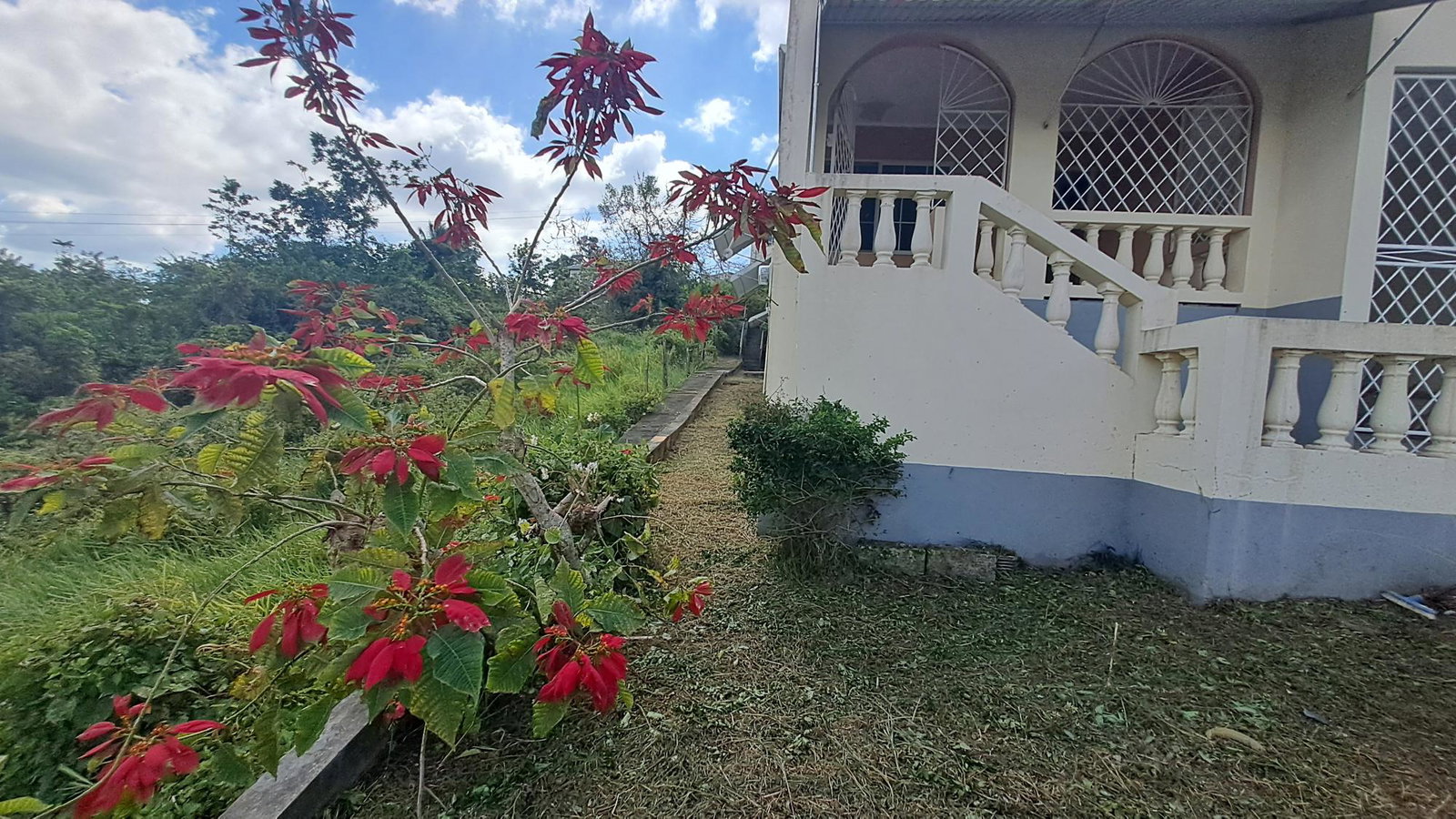 Sixth image of 13c Violet Avenue in Mandeville, Manchester, Jamaica - property is For Sale