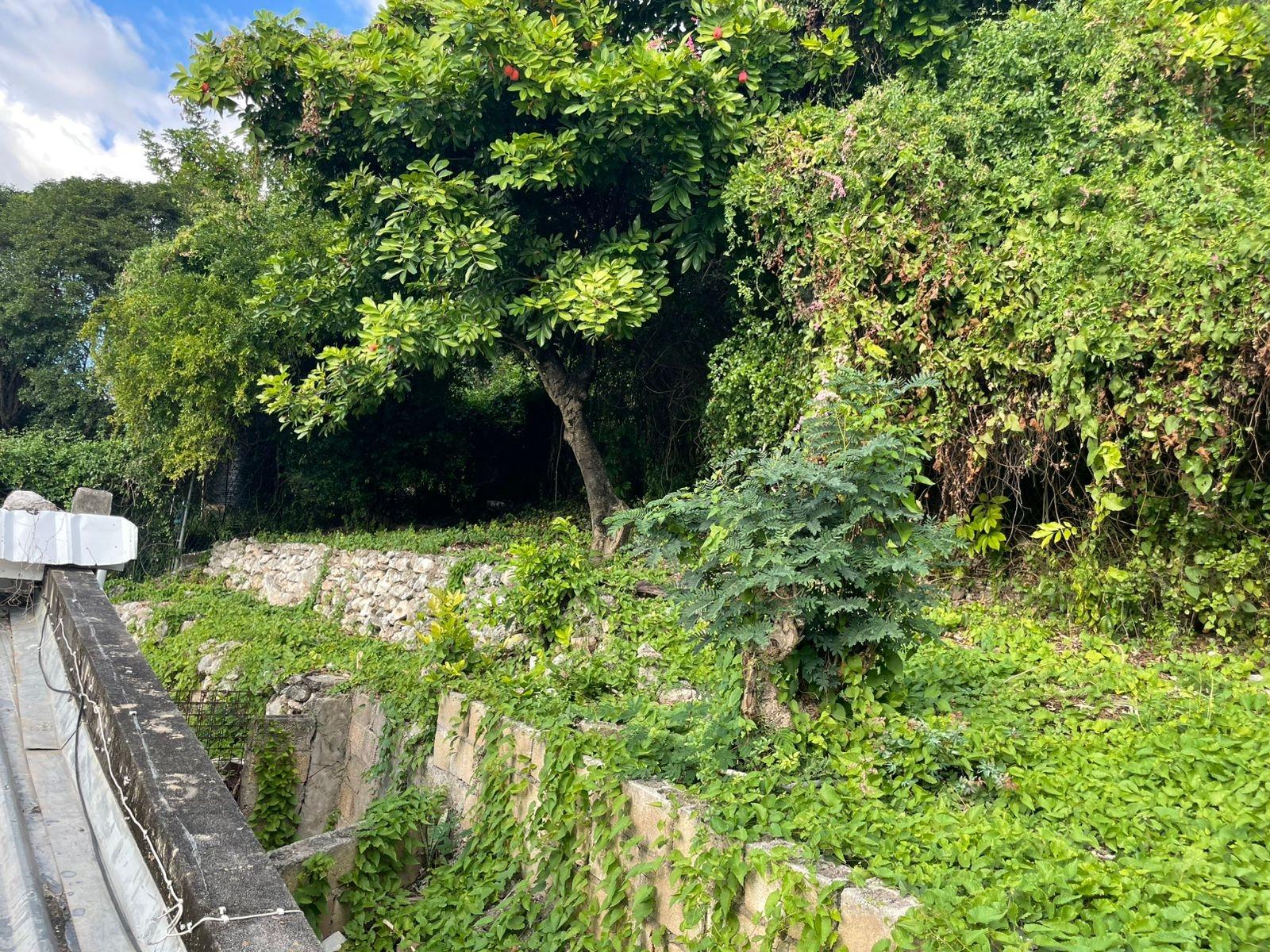 Eighteenth image of 4 Avesbury Ave Beverly Hill in Kingston 6, St. Andrew, Jamaica - property is For Sale