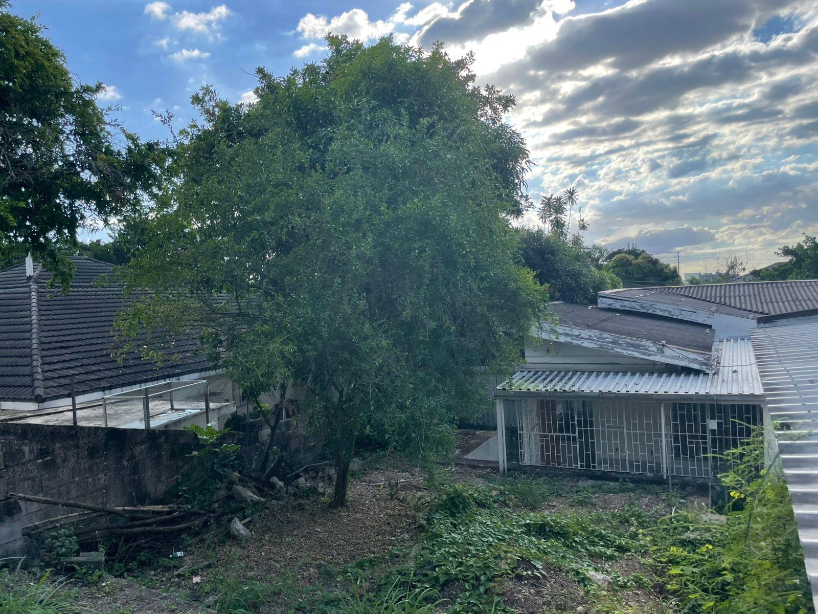 Twentieth image of 4 Avesbury Ave Beverly Hill in Kingston 6, St. Andrew, Jamaica - property is For Sale