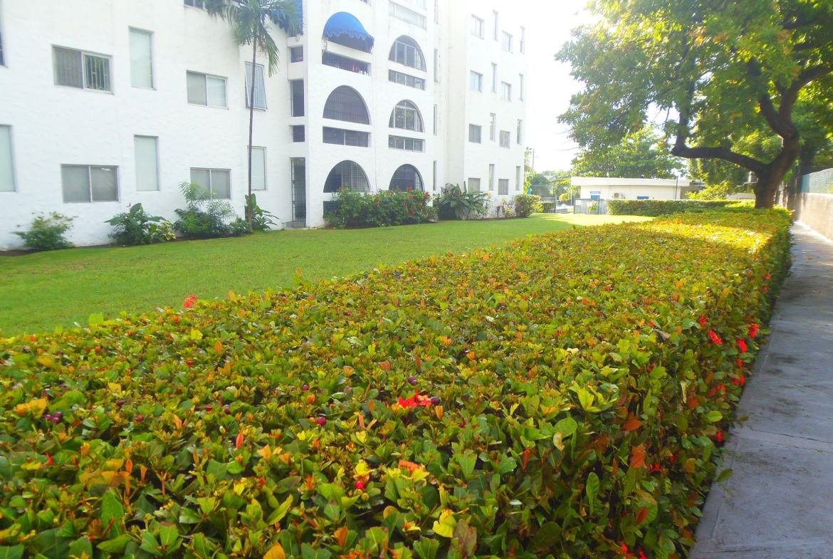 Fourth image of 3a East-17 Kingsway in Kingston 10, St. Andrew, Jamaica - property is For Rent
