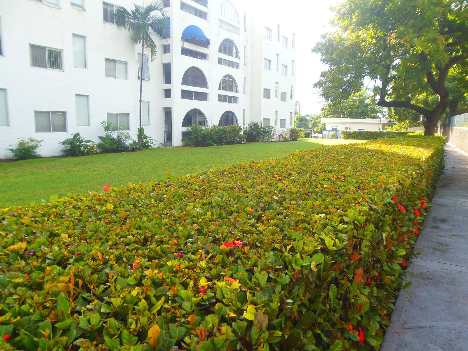 Fourth image of 3a East-17 Kingsway in Kingston 10, St. Andrew, Jamaica - property is For Rent