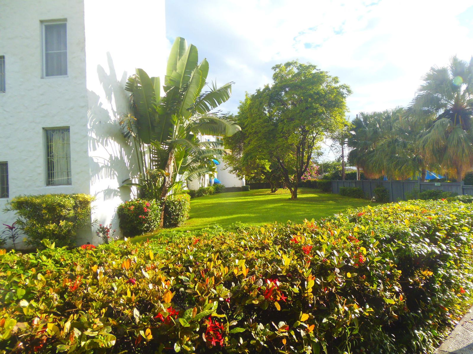 Fifth image of 3a East-17 Kingsway in Kingston 10, St. Andrew, Jamaica - property is For Rent