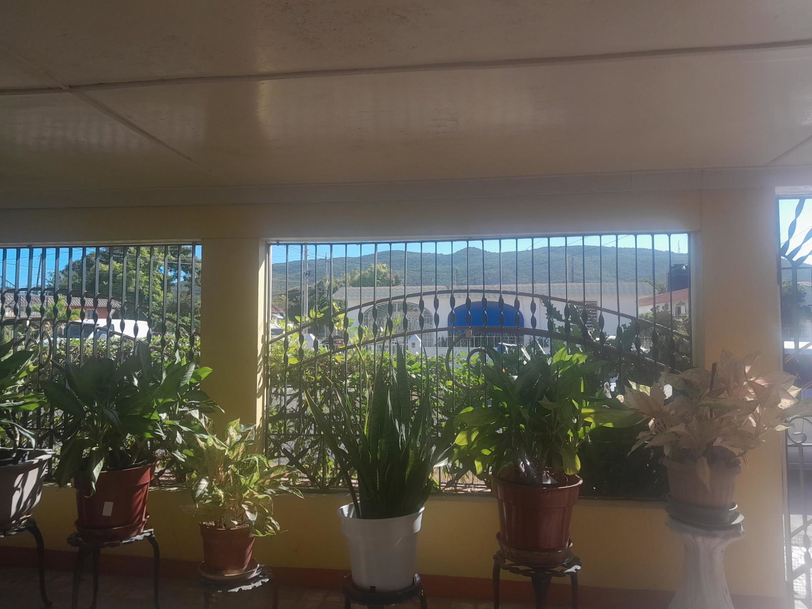 Charming-3-Bedroom-Home-for-Sale-in-Bridgeport-Jamaica Third image of 10 Spring Crescent in Bridgeport, St. Catherine, Jamaica - property is For Sale