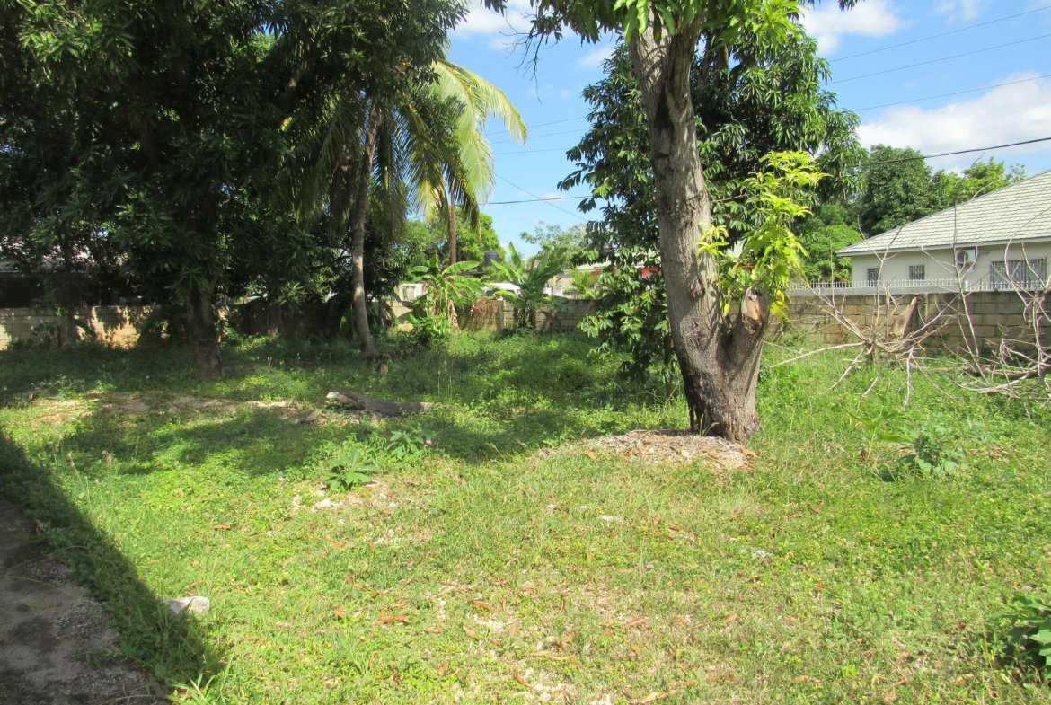 Twenty-Third image of 127- Doctor Bell Drive in Weston Park, Clarendon, Jamaica - property is For Sale