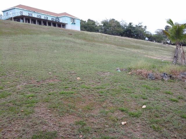 Twelfth image of Fyffes Pen in Black River, St. Elizabeth, Jamaica - property is For Sale
