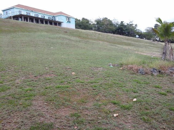 Twelfth image of Fyffes Pen in Black River, St. Elizabeth, Jamaica - property is For Sale
