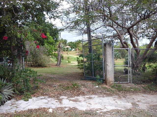 Third image of Fyffes Pen in Black River, St. Elizabeth, Jamaica - property is For Sale
