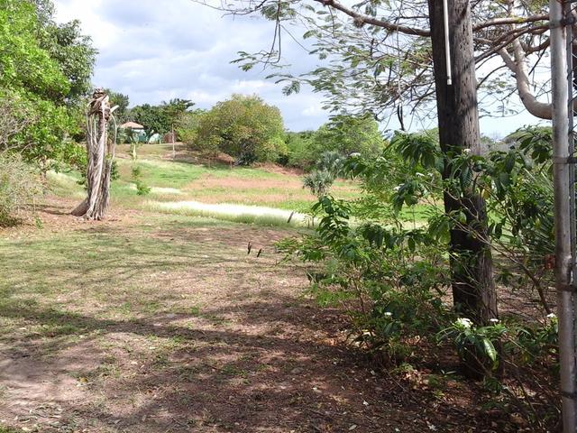 Fourth image of Fyffes Pen in Black River, St. Elizabeth, Jamaica - property is For Sale