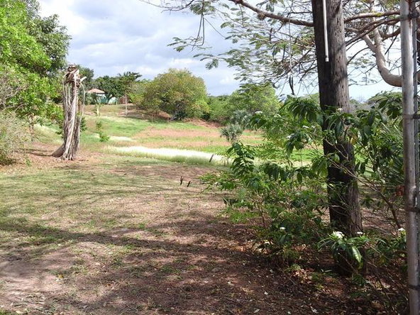 Fourth image of Fyffes Pen in Black River, St. Elizabeth, Jamaica - property is For Sale
