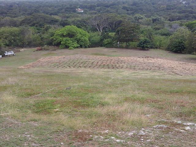 Seventh image of Fyffes Pen in Black River, St. Elizabeth, Jamaica - property is For Sale
