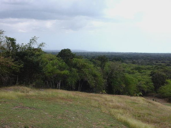 Eighth image of Fyffes Pen in Black River, St. Elizabeth, Jamaica - property is For Sale