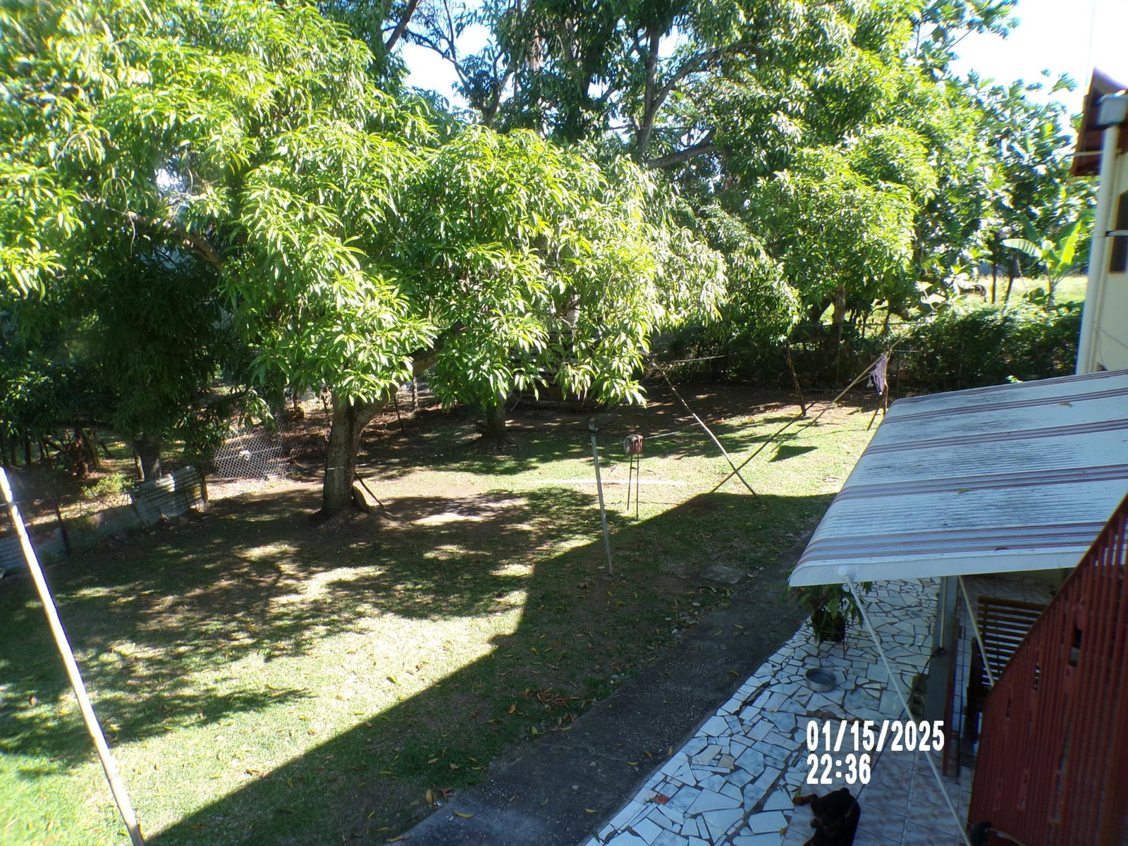 Nineteenth image of Lot-2 Landray Drive in Lucea, Hanover, Jamaica - property is For Rent