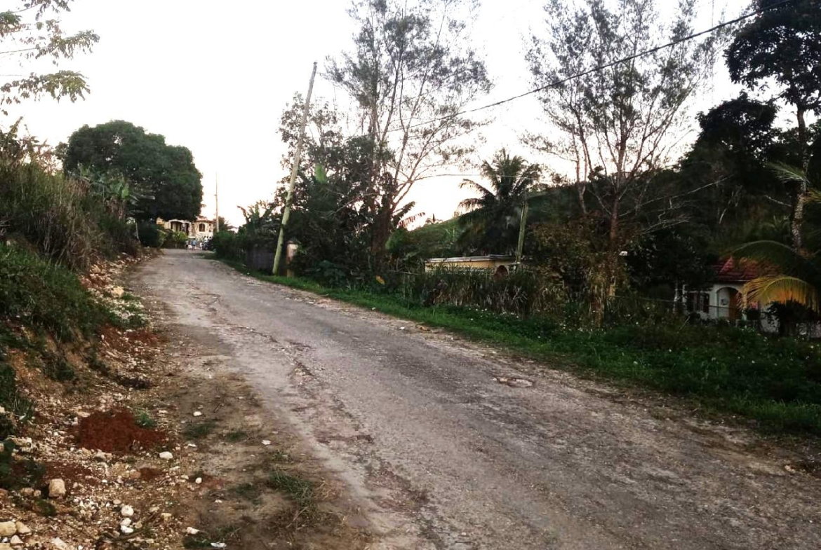 Fifth image of 176 Elgin Hall, Lillyfield in Bamboo, St. Ann, Jamaica - property is For Sale