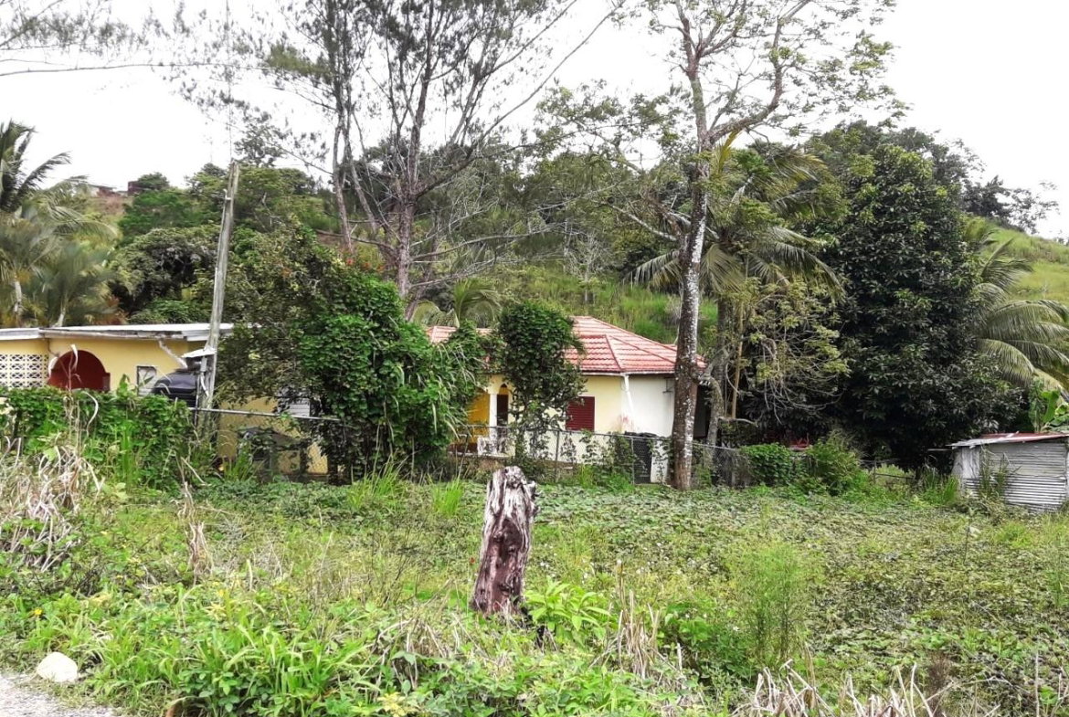 Sixth image of 176 Elgin Hall, Lillyfield in Bamboo, St. Ann, Jamaica - property is For Sale
