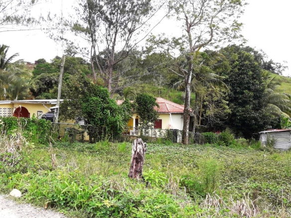 First image of 176 Elgin Hall, Lillyfield in Bamboo, St. Ann, Jamaica - property is For Sale