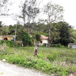 First image of 176 Elgin Hall, Lillyfield in Bamboo, St. Ann, Jamaica - property is For Sale