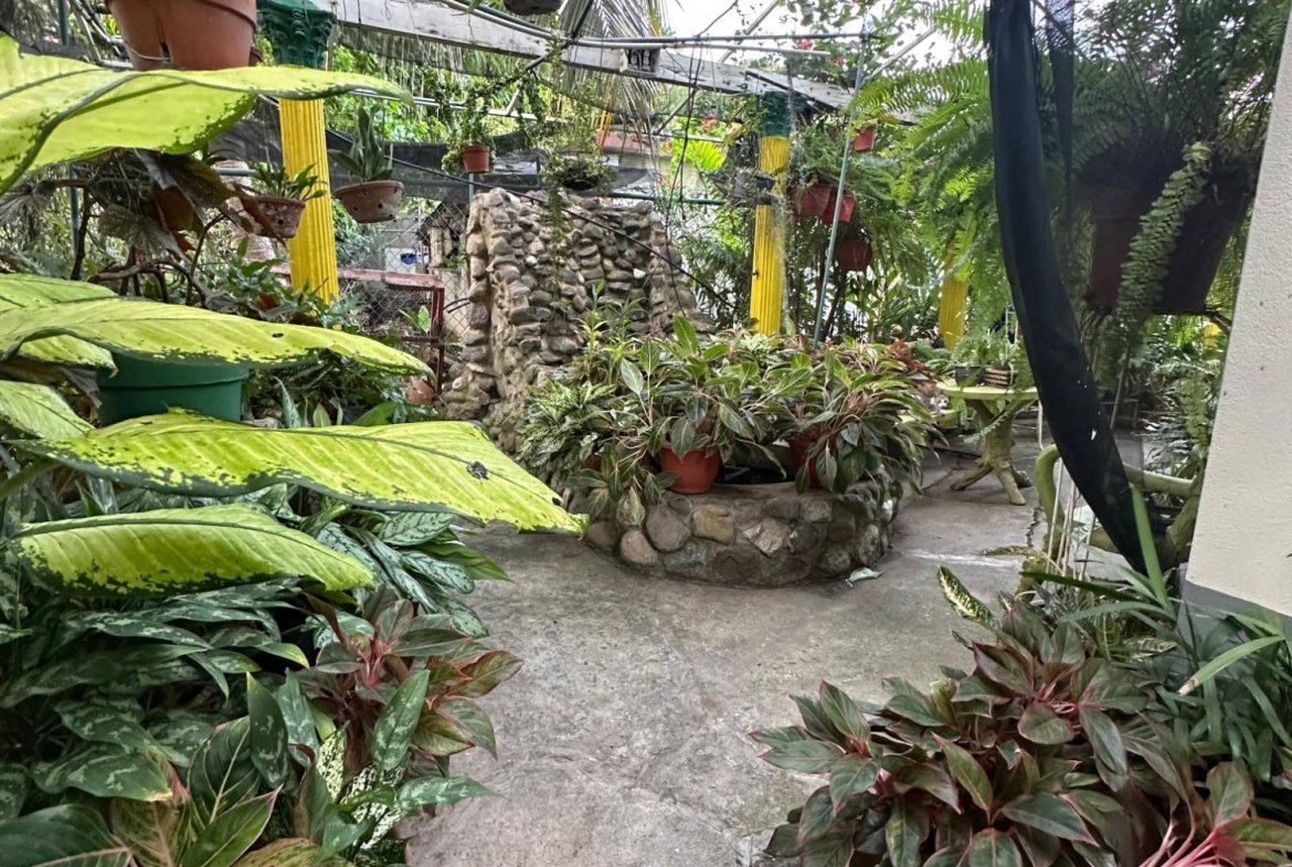 Fourth image of 29 Linscott Ave in Kingston 19, St. Andrew, Jamaica - property is For Sale
