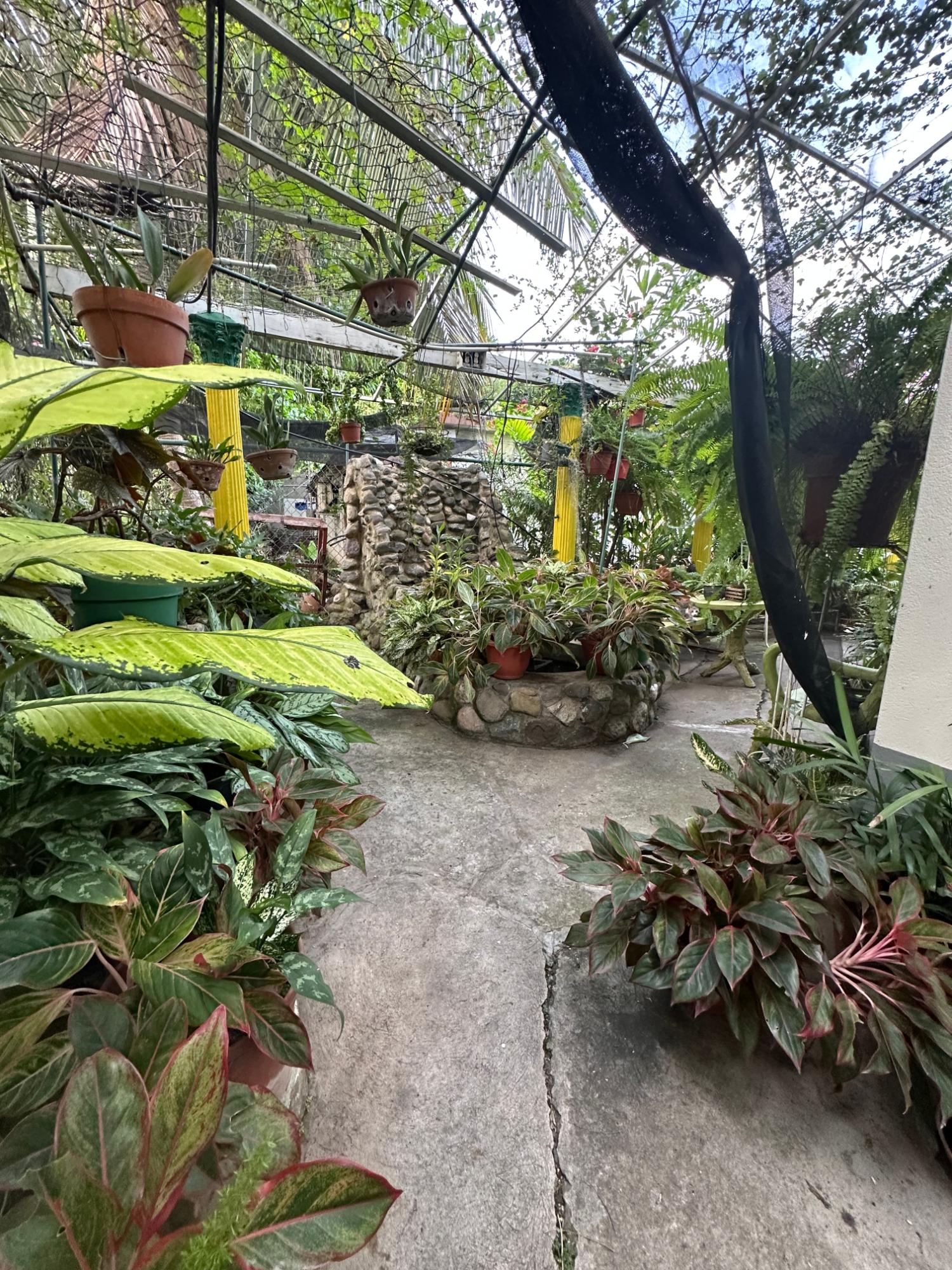 Fourth image of 29 Linscott Ave in Kingston 19, St. Andrew, Jamaica - property is For Sale