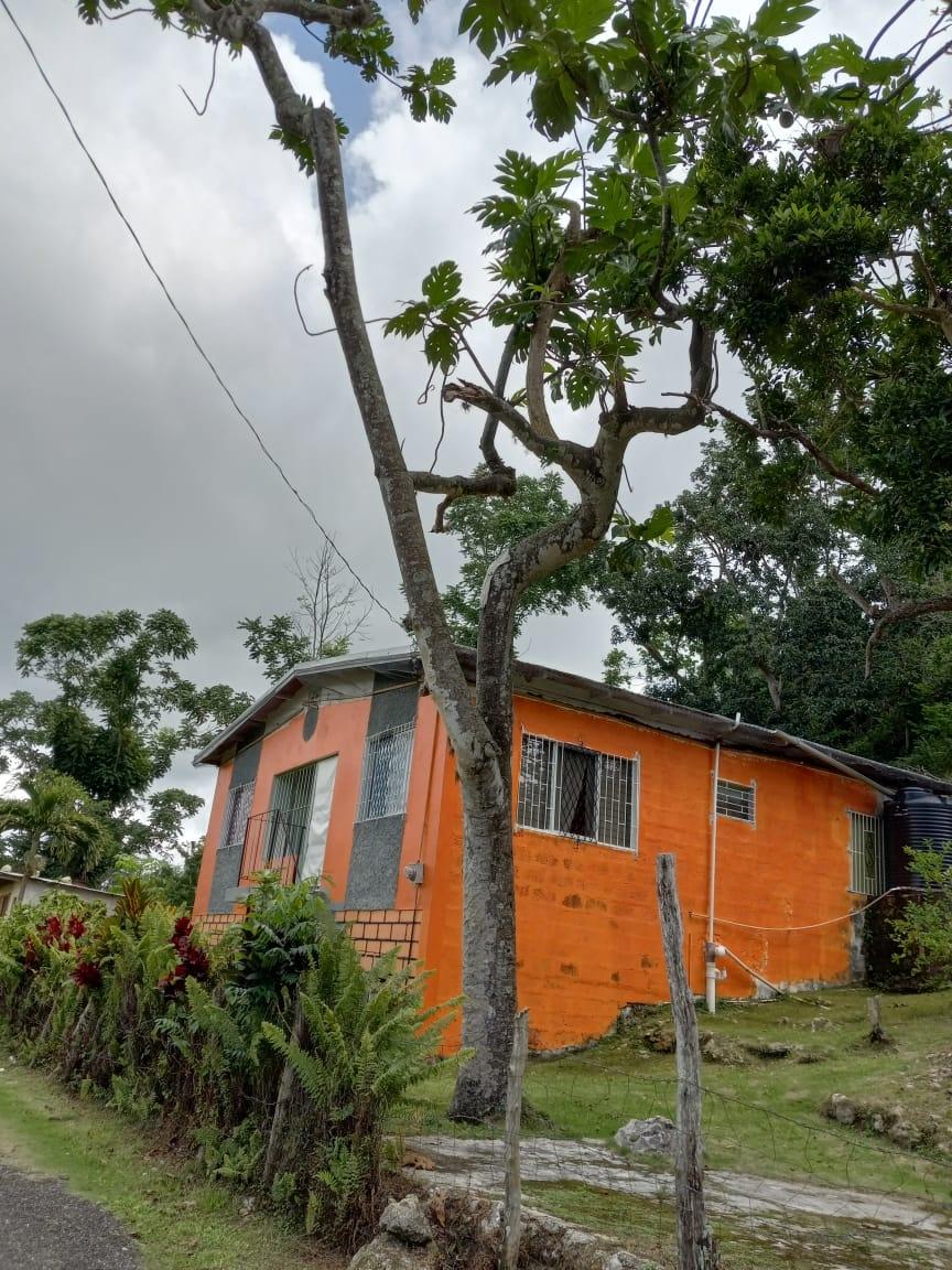 Eleventh image of Prospect District, Giddy in Giddy Hall, St. Elizabeth, Jamaica - property is For Sale