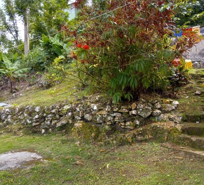 Ninth image of Prospect District, Giddy in Giddy Hall, St. Elizabeth, Jamaica - property is For Sale